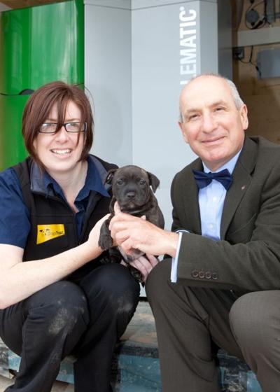 Roden dogs trust hot sale shrewsbury